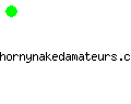 hornynakedamateurs.com