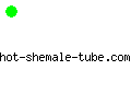 hot-shemale-tube.com