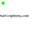 huntingebony.com