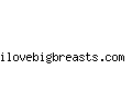 ilovebigbreasts.com