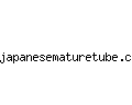 japanesematuretube.com