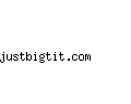 justbigtit.com