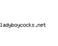 ladyboycocks.net