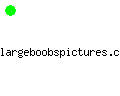 largeboobspictures.com