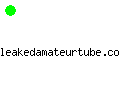 leakedamateurtube.com