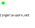 lingerie-porn.net