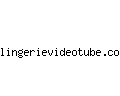 lingerievideotube.com