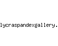 lycraspandexgallery.com