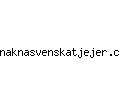 naknasvenskatjejer.com