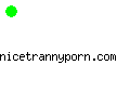 nicetrannyporn.com