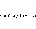 nudecleangalleries.com