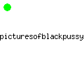 picturesofblackpussy.com