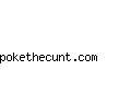 pokethecunt.com