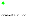pornamateur.pro