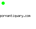 pornantiquary.com