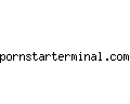 pornstarterminal.com