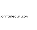 porntubecum.com