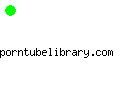 porntubelibrary.com