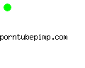 porntubepimp.com