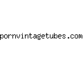 pornvintagetubes.com