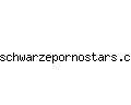 schwarzepornostars.com