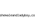 shemaleandladyboy.com