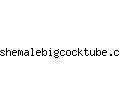 shemalebigcocktube.com