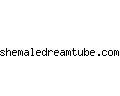 shemaledreamtube.com