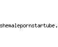 shemalepornstartube.com