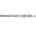 shemalesuckingtube.com