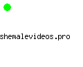 shemalevideos.pro