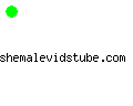 shemalevidstube.com