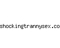 shockingtrannysex.com
