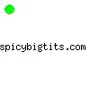 spicybigtits.com