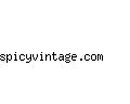 spicyvintage.com