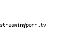 streamingporn.tv