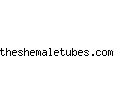 theshemaletubes.com