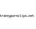 trannypornclips.net