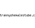 trannyshemalestube.com