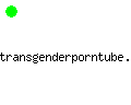 transgenderporntube.com