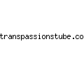 transpassionstube.com