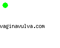 vaginavulva.com