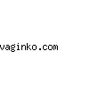 vaginko.com