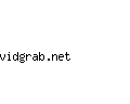vidgrab.net