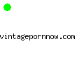 vintagepornnow.com