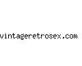 vintageretrosex.com