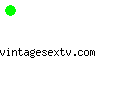vintagesextv.com