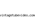 vintagetubevideo.com