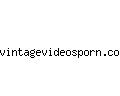 vintagevideosporn.com