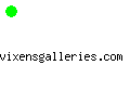 vixensgalleries.com